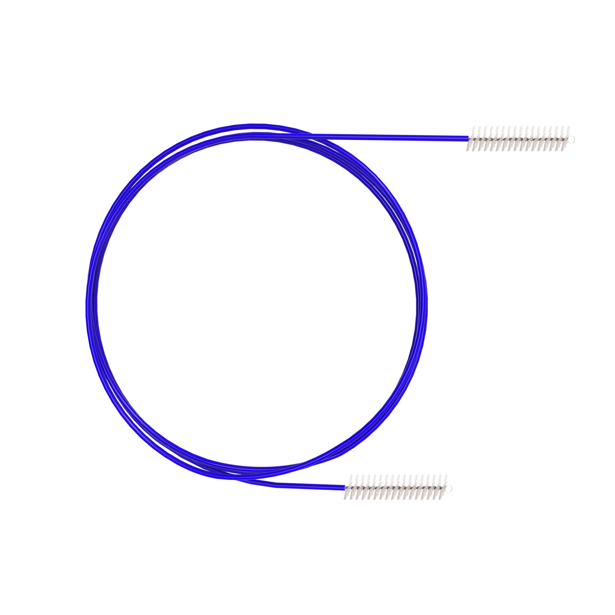 Endoscope Brushes